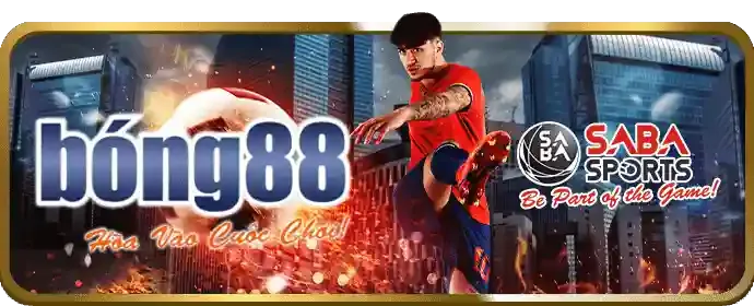 Nền tảng nn8 uy tín và an toàn